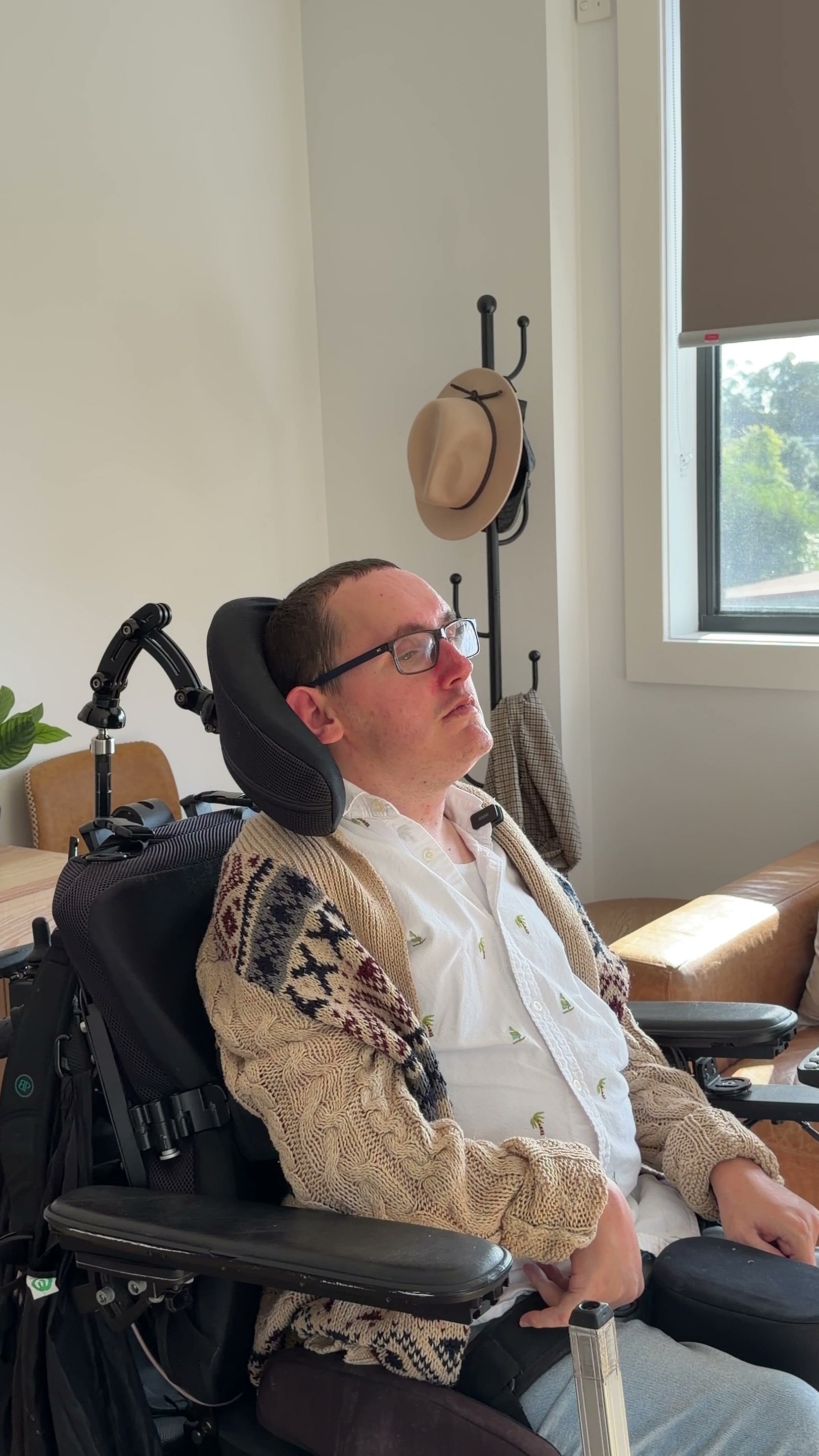 Natural light through the living-room window of the Jannali home